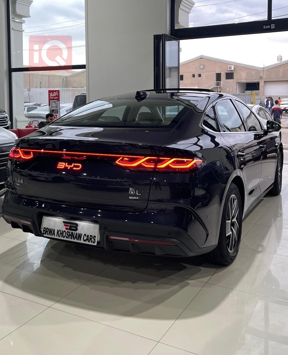 بي واي دي كوين L DM-i